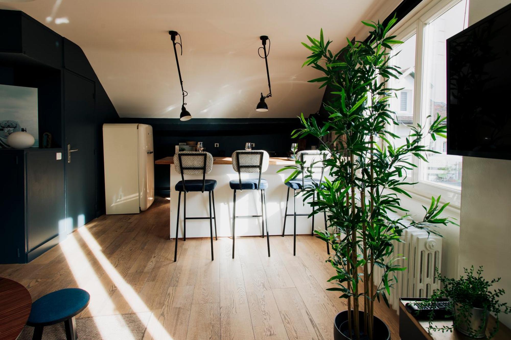 Loge Du Pre Carre - Hypercentre Lejlighed Annecy Eksteriør billede